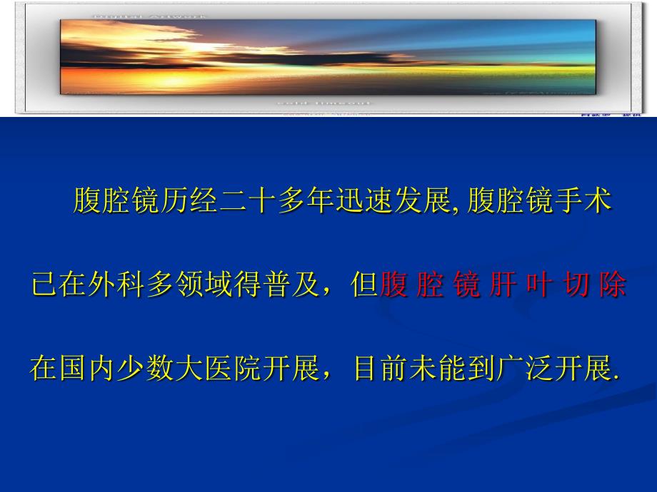 腹腔镜肝叶切除PPT课件.ppt_第2页