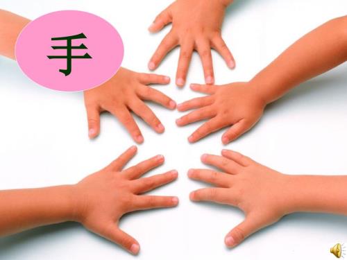 爸爸的手影故事.ppt