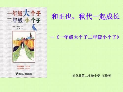 一年级大个子二年级小个子整本书阅读设计.ppt