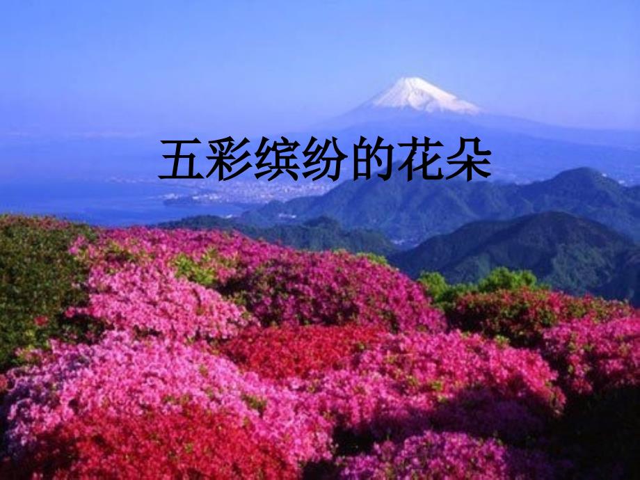 一年级下册美术课件3五彩缤纷的花朵广西版共23张PPT.ppt_第1页