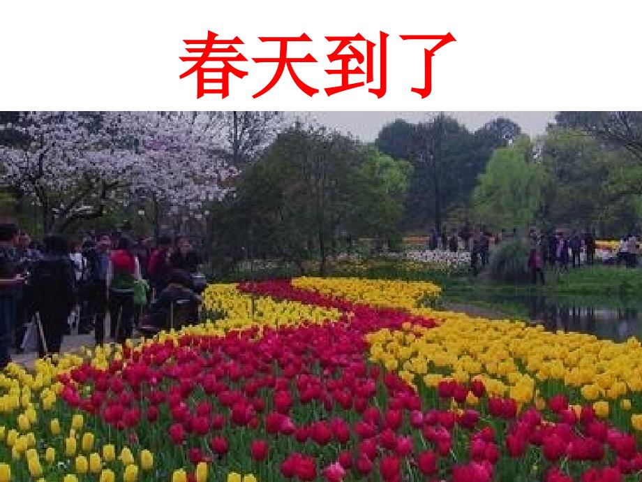 一年级下册美术课件3五彩缤纷的花朵广西版共23张PPT.ppt_第2页