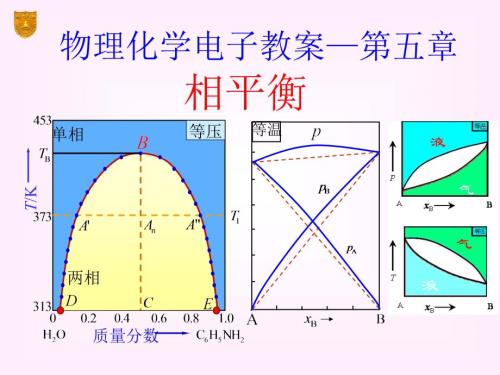 物理化学第五版南京大学傅献彩相平衡.ppt