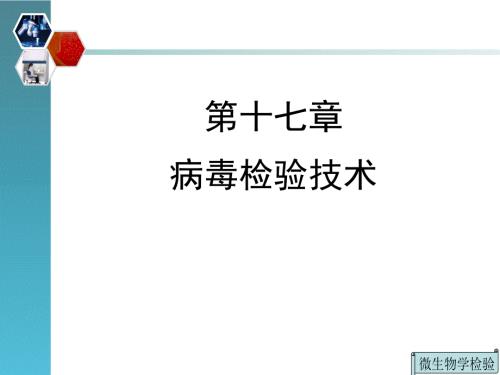 病毒检验技术.ppt