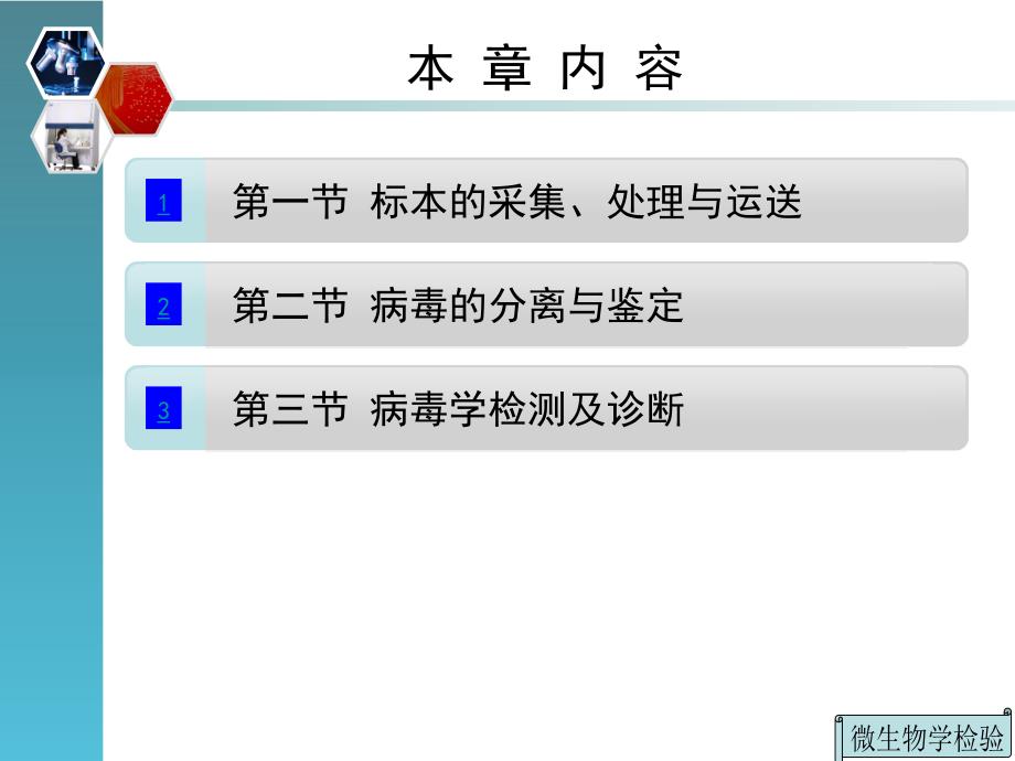 病毒检验技术.ppt_第2页