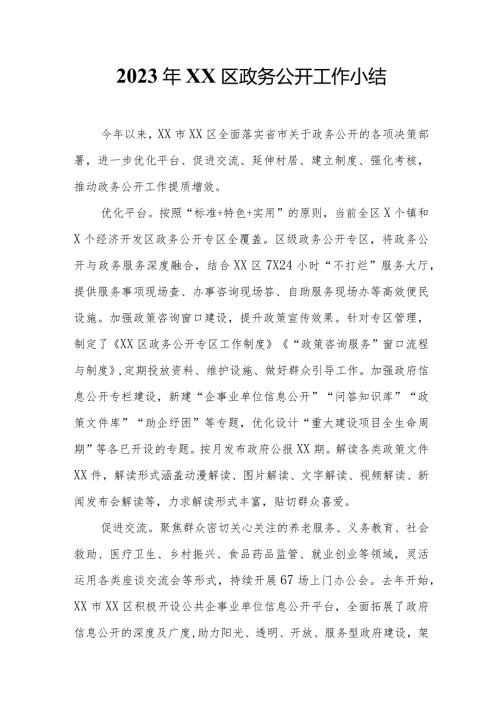 2023年XX区政务公开工作小结.docx