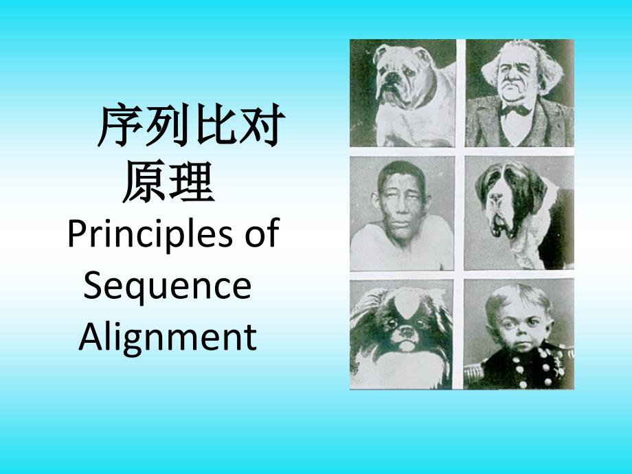 孕前优生咨询指南PPT演示课件.ppt_第1页