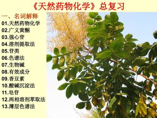 天然药物化学总复.ppt
