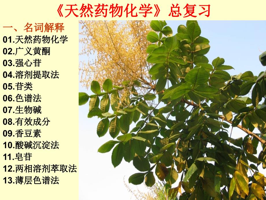 天然药物化学总复.ppt_第1页