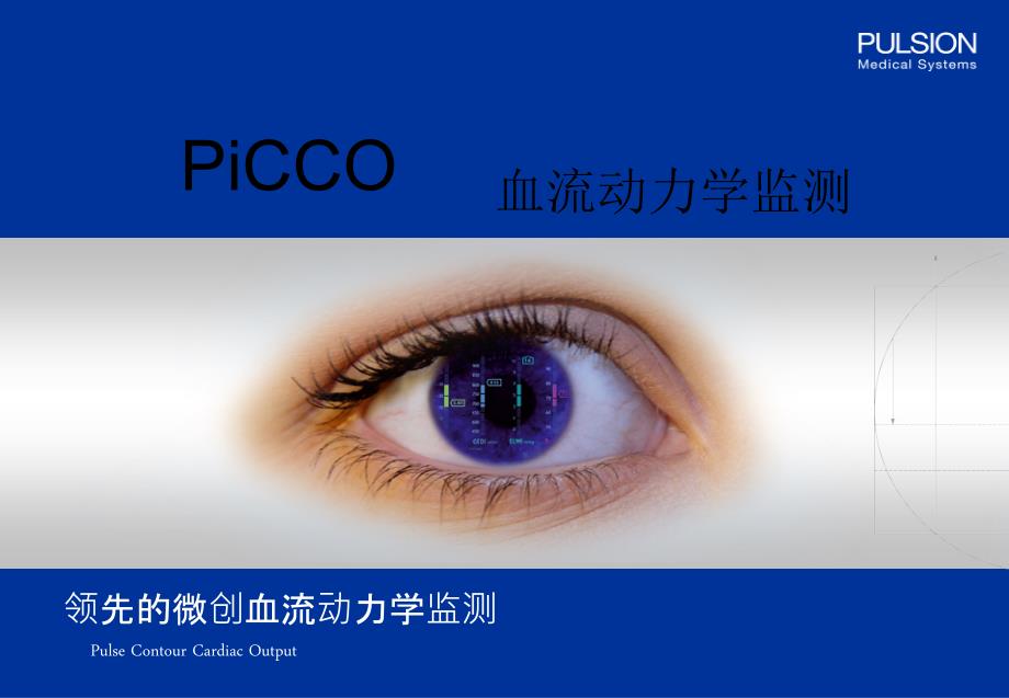 PiCCO参数解读已看两遍很好.ppt_第1页