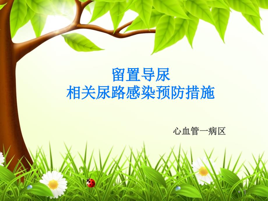 导尿管感染预防与控制pppt课件.ppt_第1页