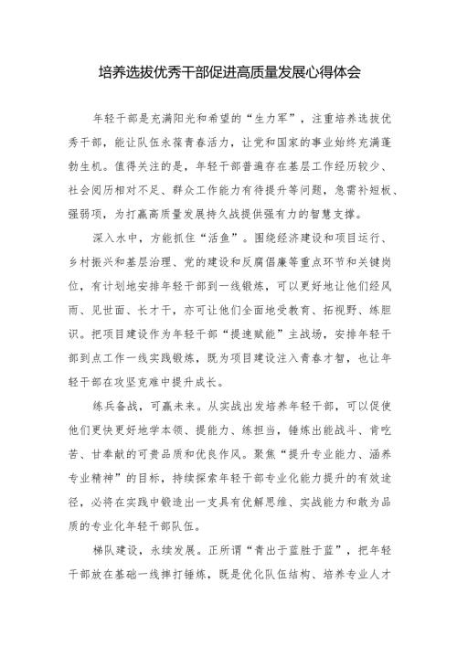 培养选拔优秀干部促进高质量发展心得体会(2).docx