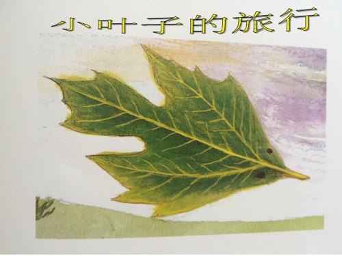 小叶子的旅行课件.ppt