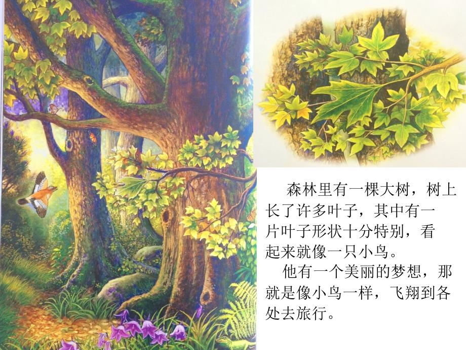 小叶子的旅行课件.ppt_第2页
