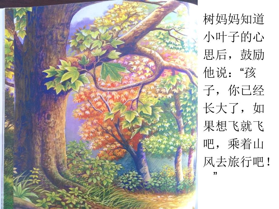 小叶子的旅行课件.ppt_第3页