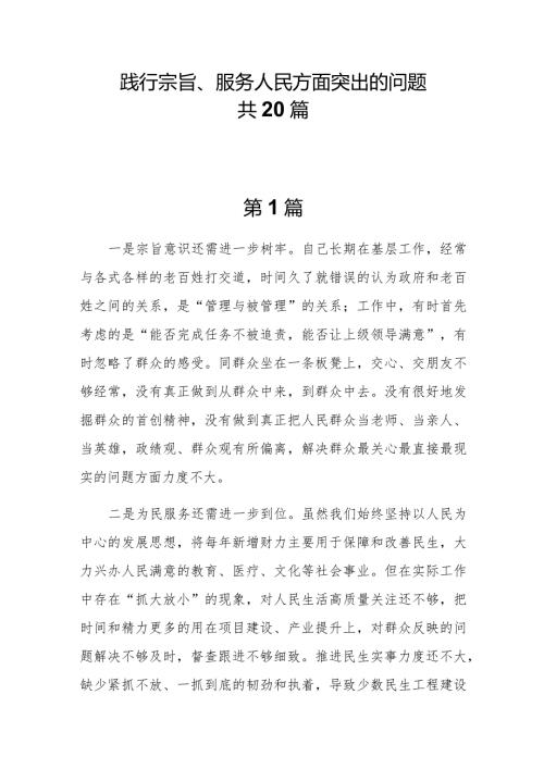 20篇践行宗旨、服务人民方面存在的问题清单.docx