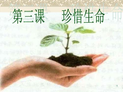 珍惜生命ppt课件.ppt