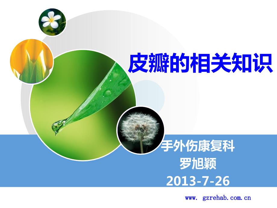 皮瓣的相关知识ppt课件.ppt_第1页
