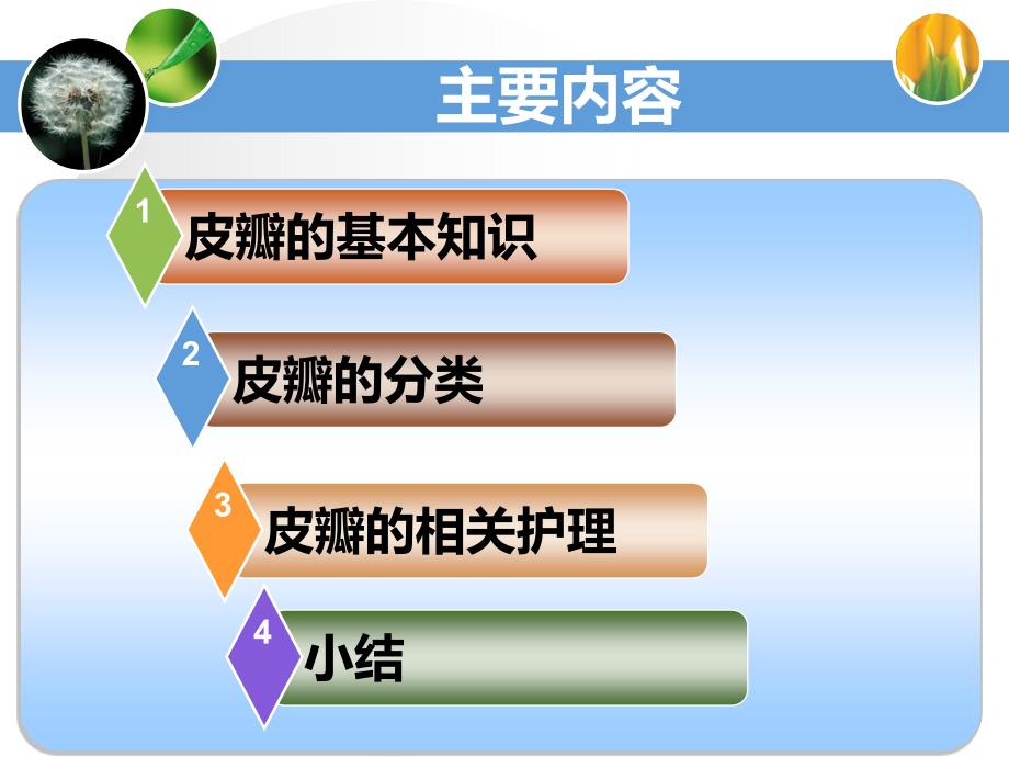 皮瓣的相关知识ppt课件.ppt_第2页