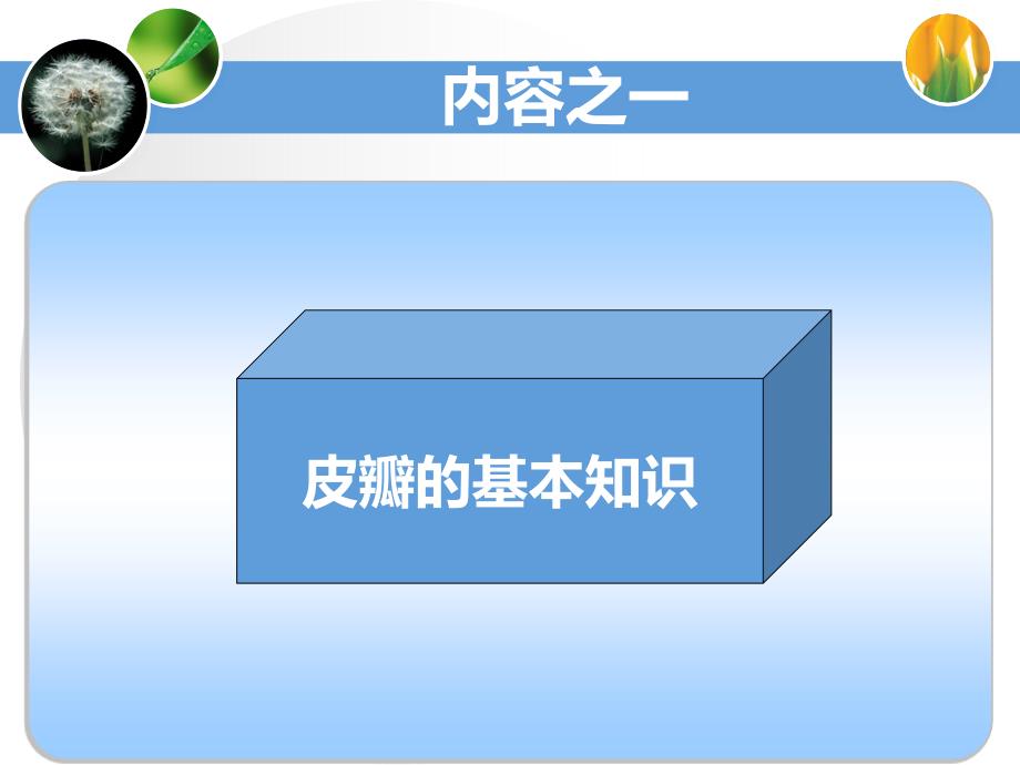 皮瓣的相关知识ppt课件.ppt_第3页