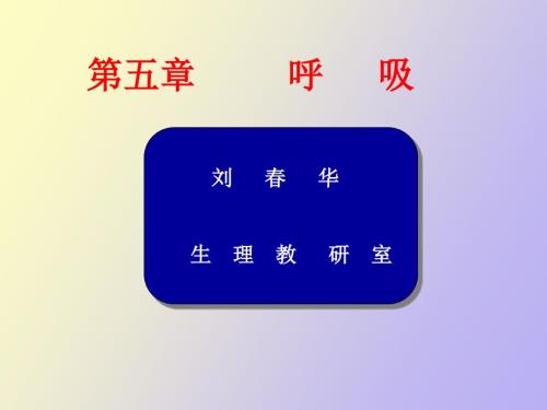 大学医学院生理版课件第五章呼吸.ppt