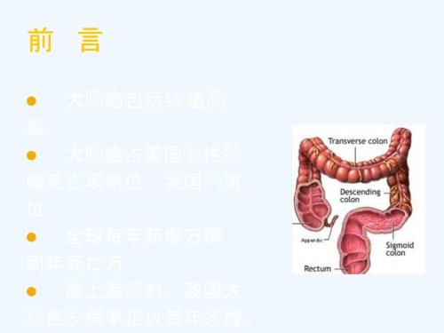 大肠癌结直肠癌课件.ppt