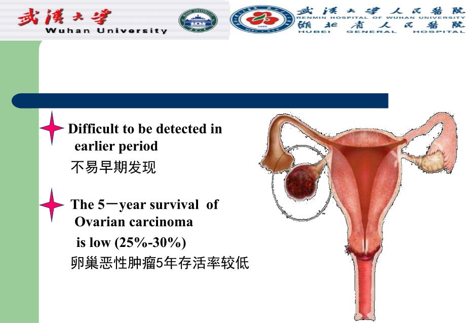 Ovariancarcinom卵巢肿瘤.ppt_第3页