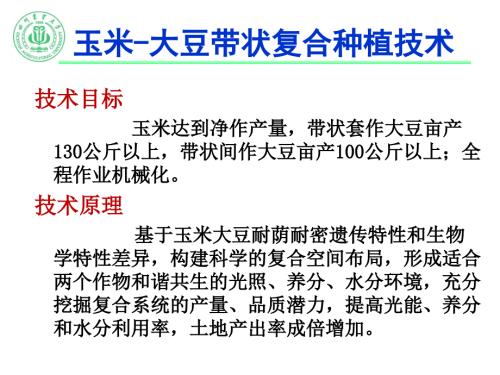 玉米大豆带状复合种植技术简介.ppt