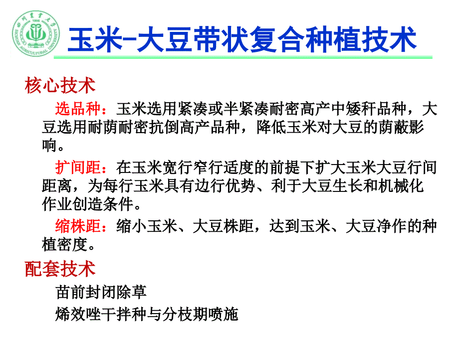 玉米大豆带状复合种植技术简介.ppt_第2页