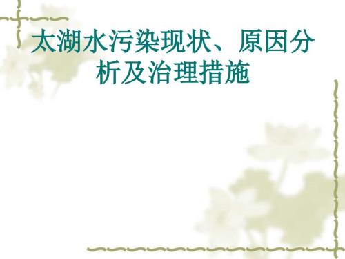 太湖水污染原因分析现状及治理.ppt