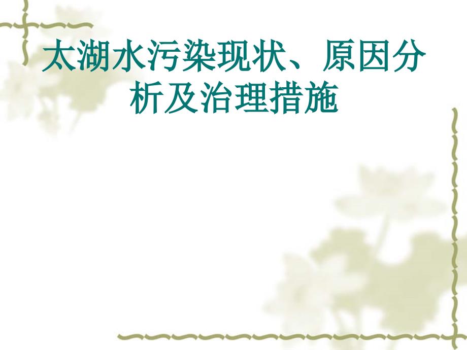 太湖水污染原因分析现状及治理.ppt_第1页