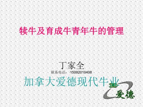 犊牛及育成牛青年的饲养管理.ppt