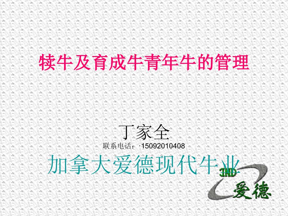 犊牛及育成牛青年的饲养管理.ppt_第1页