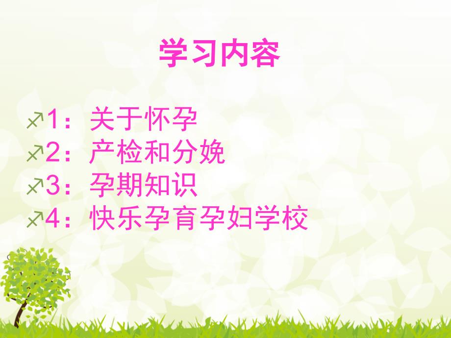 孕妇学校第一课PPT课件.ppt_第2页
