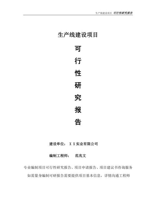 生产线项目可行性研究报告完整可修改版.doc