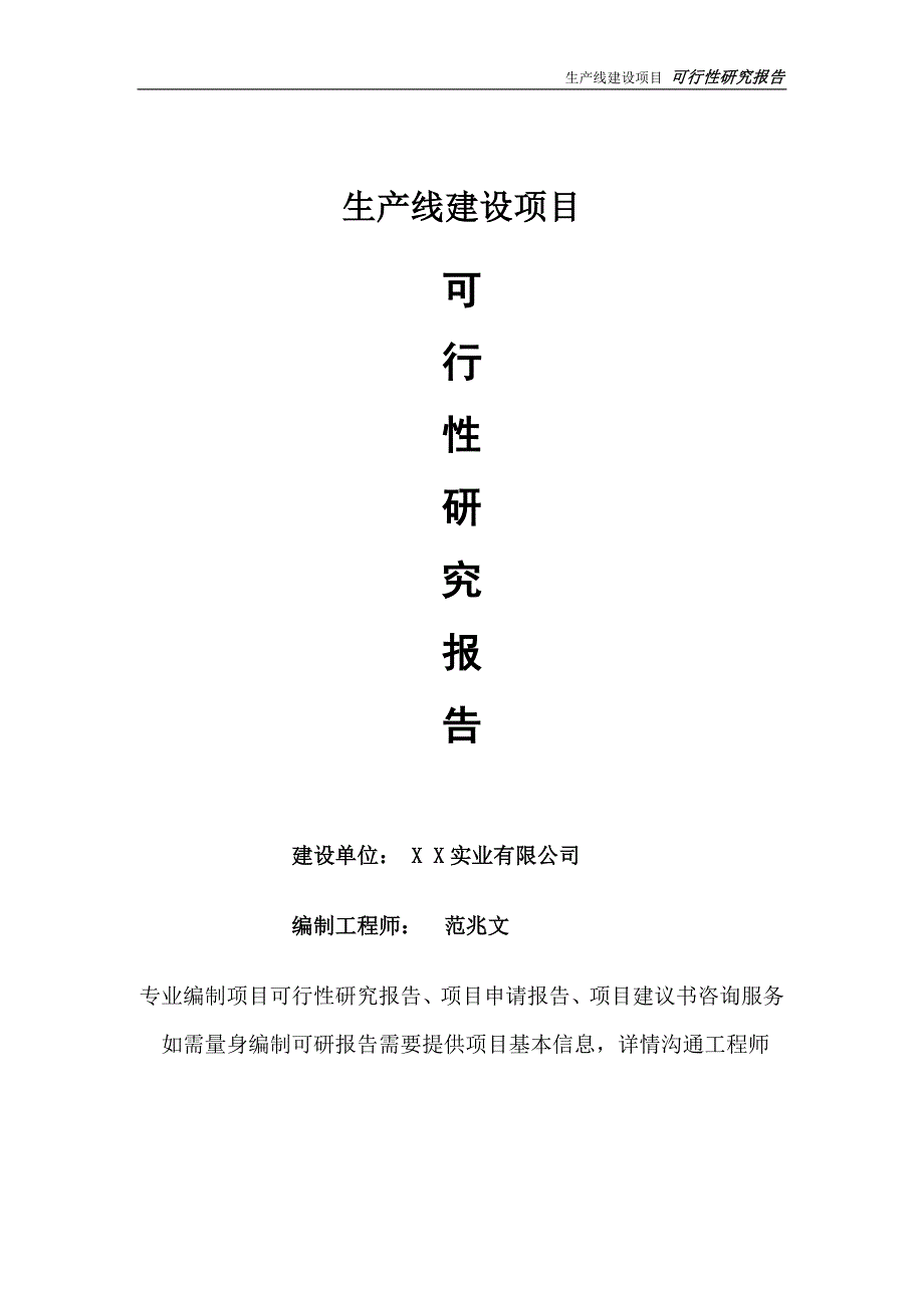 生产线项目可行性研究报告完整可修改版.doc_第1页