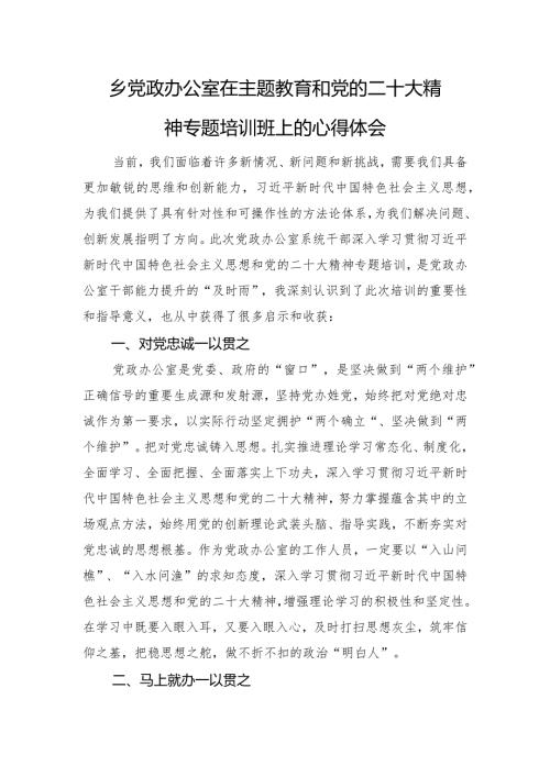 乡党政办公室在主题教育和党的二十大精神专题培训班上的心得体会.docx