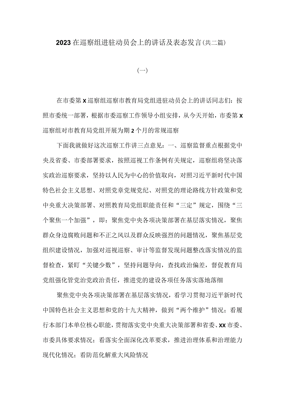 2023在巡察组进驻动员会上的讲话及表态发言.docx_第1页