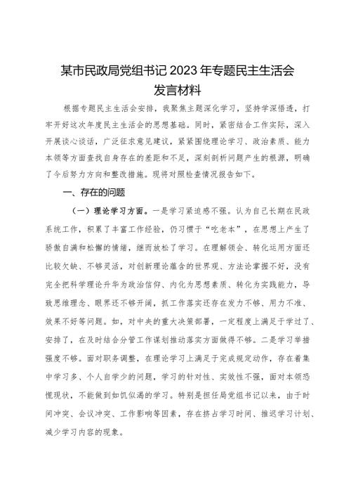 某市民政局党组书记2023年主题教育专题民主生活会发言材料.docx