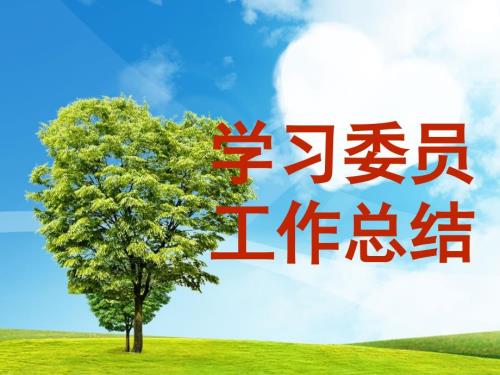 学习委员工作总结.ppt