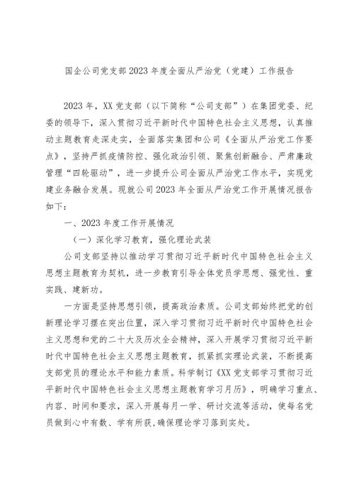 国企公司党支部2023年2024度全面从严治党（党建）工作报告.docx