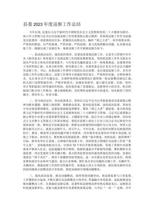 县委2023巡察工作总结.docx