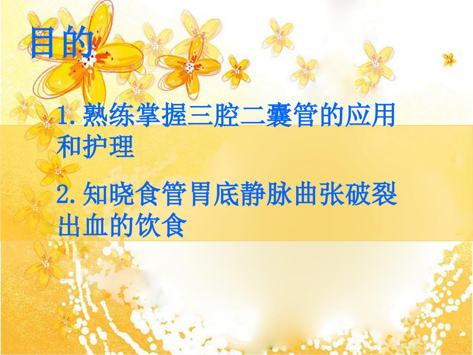 三腔二囊管护理.ppt_第2页