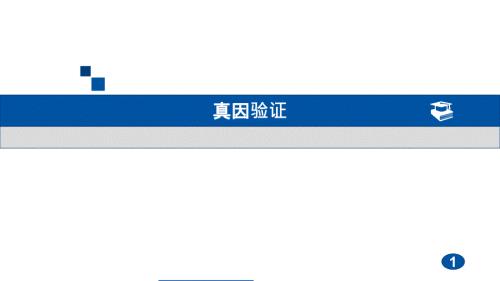 真因验证ppt课件.pptx