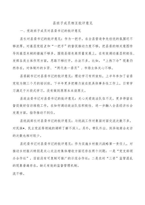 县班子成员相互批评意见.docx