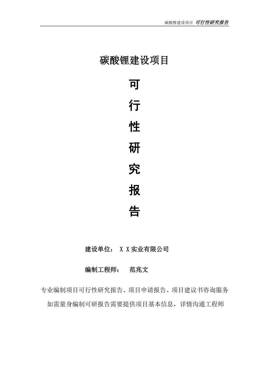 碳酸锂项目可行性研究报告完整可修改版.doc_第1页