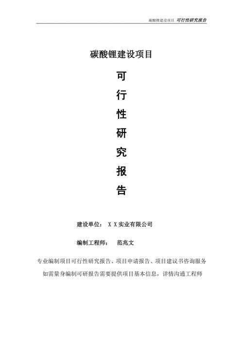 碳酸锂项目可行性研究报告完整可修改版.doc