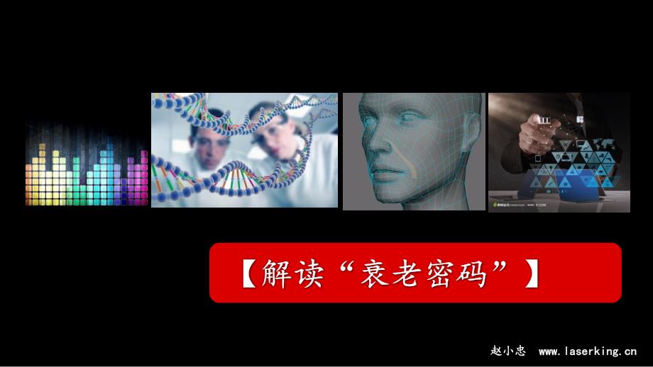 热拉提的抗衰原理ppt课件.pptx_第2页