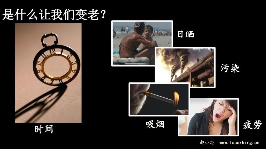 热拉提的抗衰原理ppt课件.pptx_第3页
