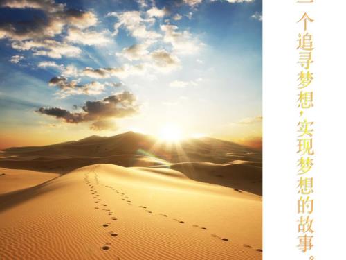 牧羊少年奇幻之旅图书分享.ppt