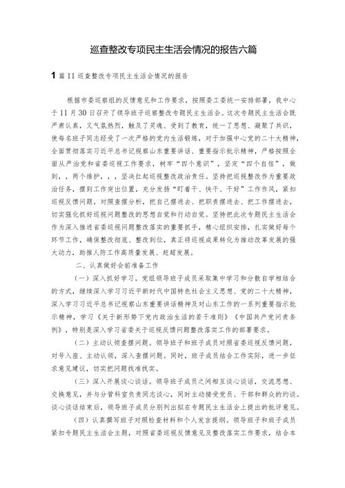 巡查整改专项民主生活会情况的报告六篇.docx